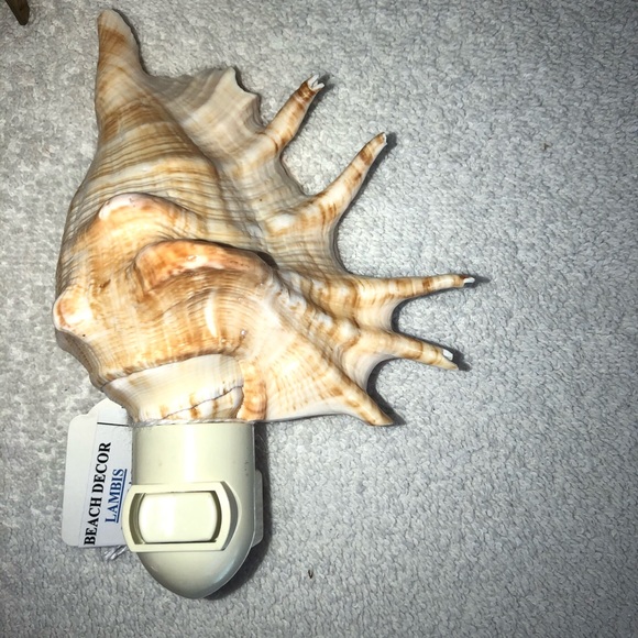 New! Cut LAMBIS seashell NIGHT LIGHT - Picture 2 of 5